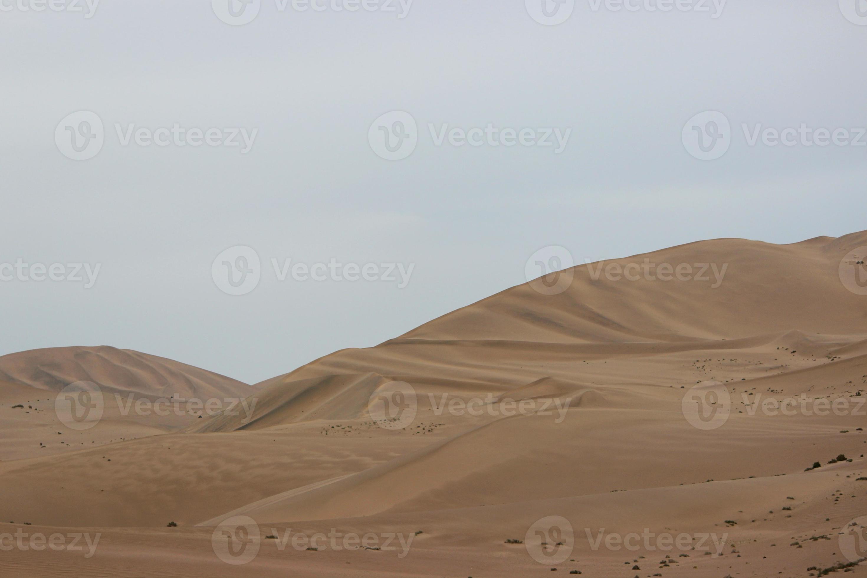 dunas de areia foto