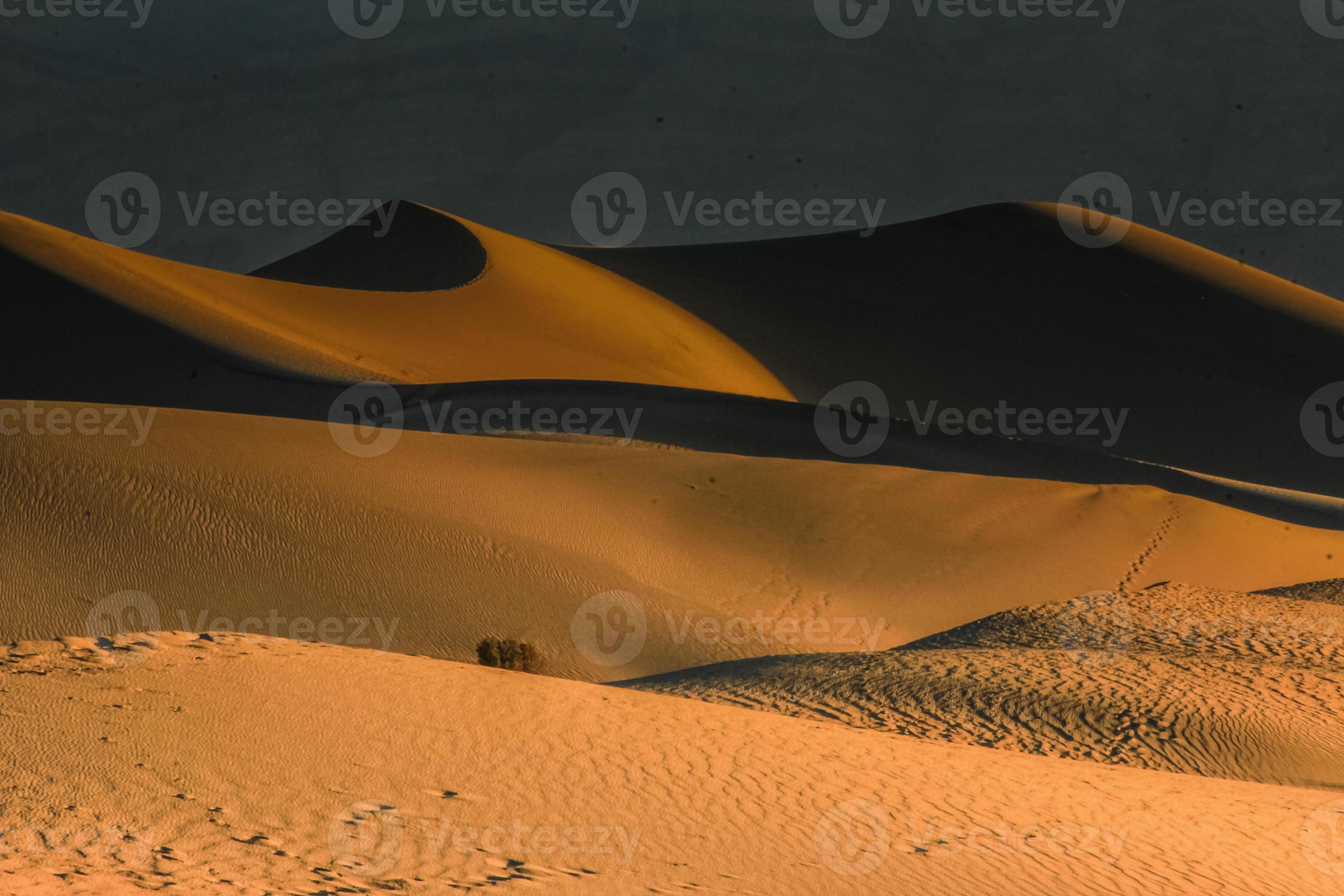 dunas mágicas de areia de mesquite foto