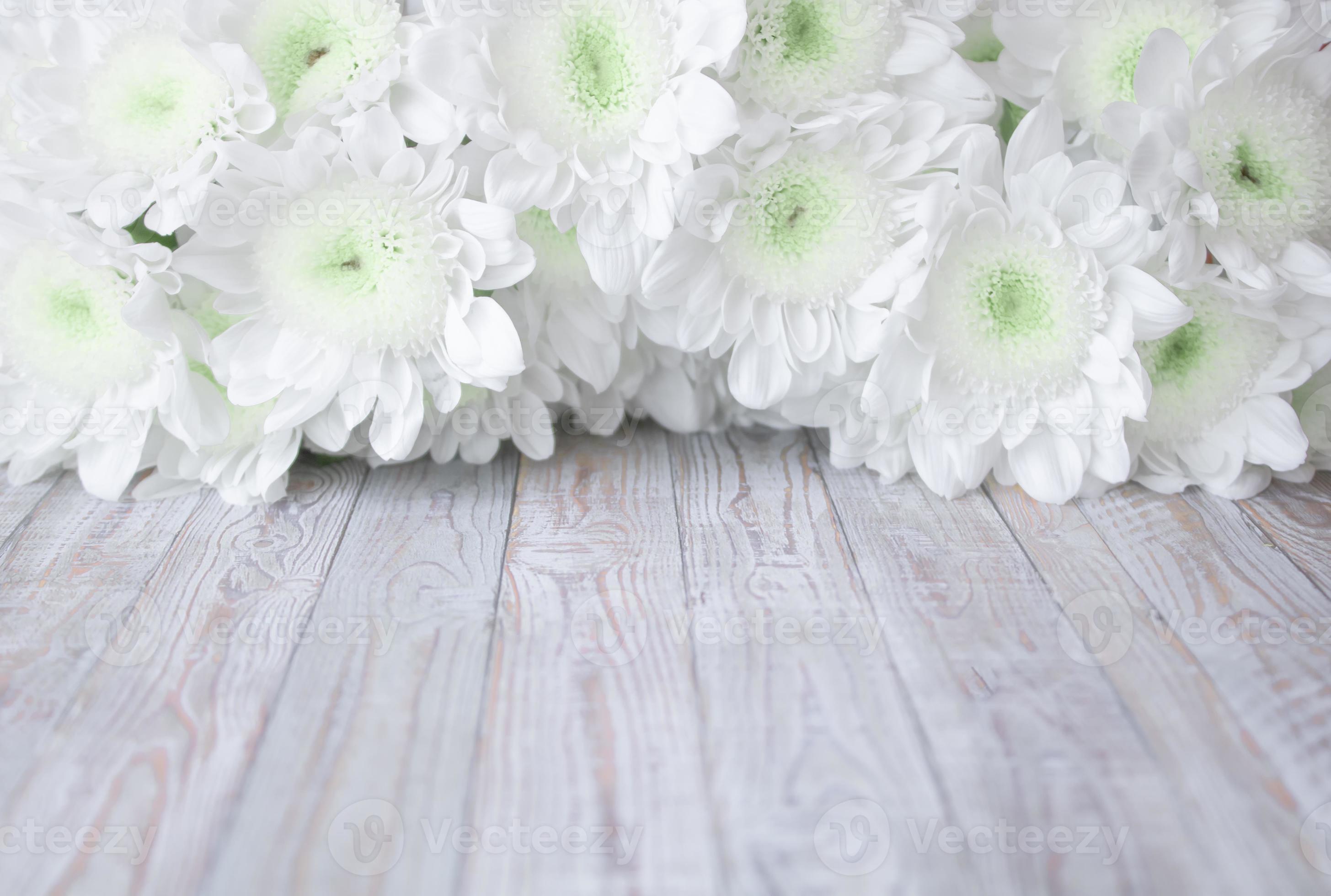 flores de crisântemos brancos delicados em um fundo branco de madeira  8166056 Foto de stock no Vecteezy