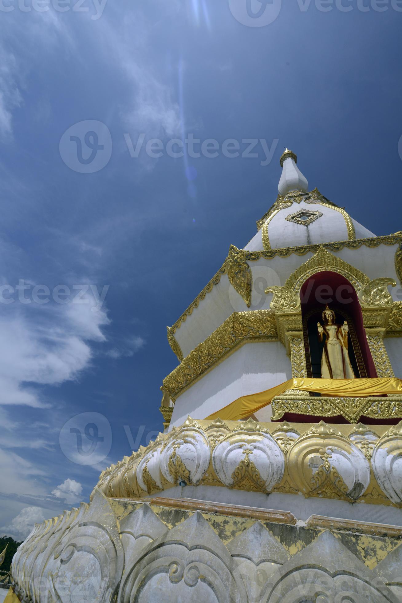 roi da Tailândia e templo foto