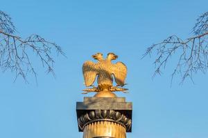 águia de duas cabeças contra o céu azul e galhos de árvores foto