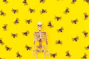 decorações mínimas de halloween, composição com muitas aranhas pretas e esqueleto isolado em fundo amarelo. conceito de doces ou travessuras de celebração de halloween. vista superior plana leiga. foto