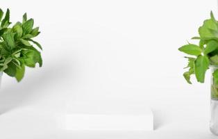 pódio ou pedestal de vitrine de estilo minimalista para apresentação do produto. fundo branco com folhas de plantas verdes. eco cosmético ou maquete de autocuidado natural foto