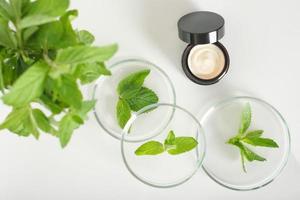 creme cosmético à base de plantas e folhas de hortelã em placa de petri, cosméticos naturais, cuidados faciais desenvolvidos em laboratório. vista superior, foco seletivo foto