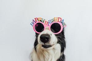 conceito de festa de aniversário feliz. engraçado cachorrinho bonitinho border collie usando óculos bobos de aniversário isolados no fundo branco. cão de estimação no dia do aniversário. foto