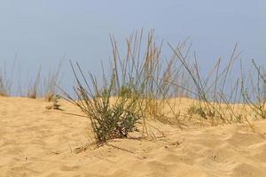 duna de areia nas margens do mar mediterrâneo no norte de israel. foto