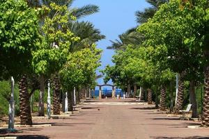 estrada para caminhar no parque da cidade. foto