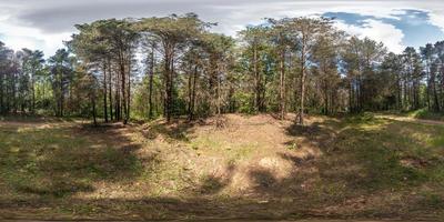 panorama hdri esférico completo vista de ângulo de 360 graus na trilha de pedestres de cascalho e caminho de ciclovia na floresta de pinheiros na noite ensolarada de primavera em projeção equirretangular. conteúdo vr foto