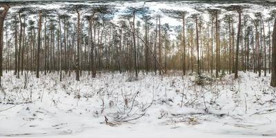 inverno esférico completo 360 graus vista panorâmica estrada em uma floresta de pinheiros nevado com céu pálido cinza em projeção equirretangular. conteúdo vr foto