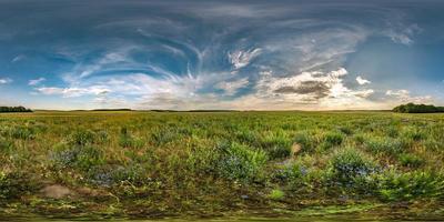 panorama hdri esférico sem costura completo vista de ângulo de 360 graus entre campos de centáureas no pôr do sol da noite de verão com belas nuvens em projeção equirretangular, conteúdo de realidade virtual vr ar pronto foto