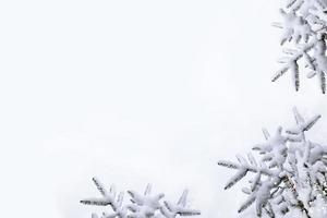 floresta na geada. paisagem de inverno. árvores cobertas de neve. foto