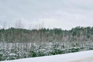 floresta de inverno congelado com árvores cobertas de neve. foto