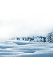 floresta de inverno. paisagem de inverno. árvores cobertas de neve foto