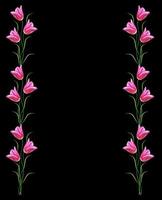 flores tulipas isoladas em fundo preto. foto