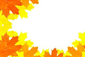 folhagem de outono colorida brilhante foto