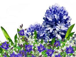 flor de jacinto. flores. arranjo floral. foto