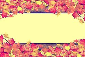fundo abstrato de folhas de outono foto