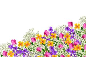 flores coloridas da primavera foto