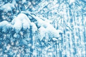 floresta de inverno congelado com árvores cobertas de neve. foto