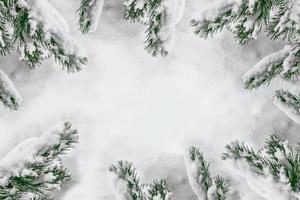 os galhos da árvore de natal coberta de neve. foto