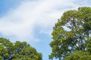 verão de nuvem de fundo. verão de nuvens. céu nuvem cinematográfica. céu natural fundo de textura por do sol bonito e cinematográfico foto