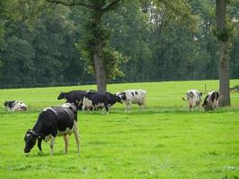 Winterswijk na Holanda foto