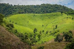 a bela vista da paisagem na zona rural da província de chiang rai da tailândia. foto