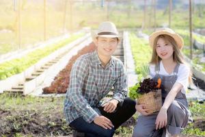 belo retrato jovem mulher asiática e homem colheita e pegando horta orgânica fresca na cesta na fazenda hidropônica, agricultura para alimentação saudável e conceito de empresário de negócios. foto