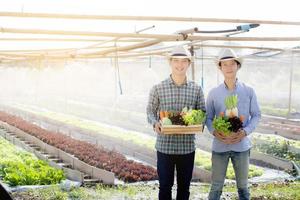 belo retrato jovem dois homens colheita e pegando horta orgânica fresca na cesta na fazenda hidropônica, agricultura para alimentação saudável e conceito de empresário de negócios. foto