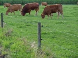 a pequena aldeia weseke em westphalia foto