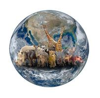grupo de animais de áfrica com planeta terra foto