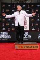 los angeles, 8 de setembro - mel brooks na cerimônia de impressão de mãos e pés de mel brooks no tcl chinese theatre em 8 de setembro de 2014 em los angeles, ca foto