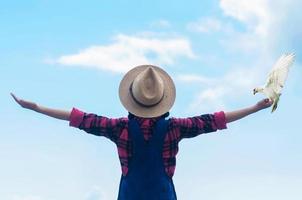 conceito de liberdade de pessoas e animais - senhora levantando a mão com pomba branca de pássaro mostrando liberdade sentindo emoção com céu azul brilhante e fundo de nuvens foto