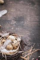 decoração de ovos de páscoa