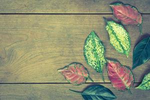 folhas de outono em fundo de madeira estilo vintage foto