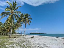 bela vista da praia em um dia ensolarado, mar azul e céu, coqueiros, grama verde e areia foto