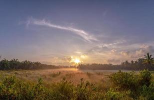 nevoeiro sobre a grama da manhã natureza ao longo do caminho na província de chumphon foto