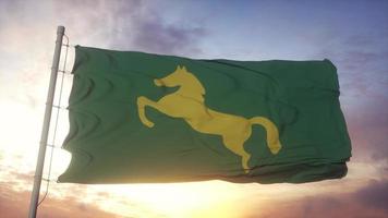 Ash Sharqiyah flag, Egito, balançando ao vento, céu e sol de fundo. ilustração 3D foto