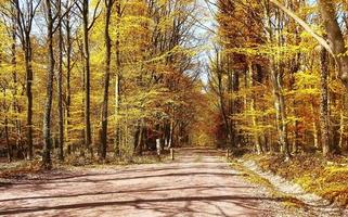 bela vista panorâmica em uma paisagem de outono dourada encontrada na europa foto