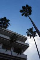 edifício, árvores e céu de baixo foto