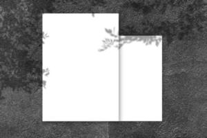 maquete de cartaz quadrado branco vazio com sombra clara no fundo da parede de concreto preto. foto