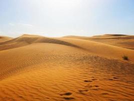 dunas de areia no deserto foto