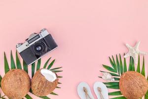 folhas de palmeira e cocos em fundo rosa pastel foto