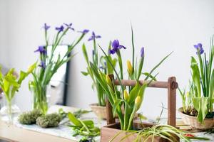 elegante primavera, arranjos de flores de páscoa de íris, tulipas, narcisos e ramos de salgueiro, localizados na mesa à luz do dia em casa. foto