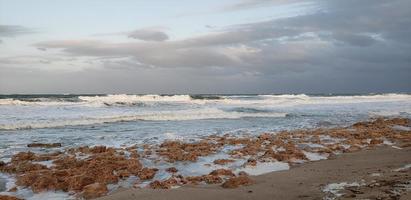 ondas da ilha de hutchinson foto