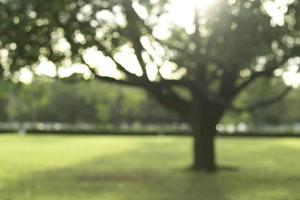 parque público embaçado foto