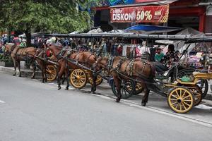 yogyakarta, indonésia maio 2022 delman para em jalan malioboro. delman é um cavalo de transporte tradicional. foto