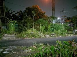 estrada de asfalto com muitas plantas selvagens na beira da estrada à noite foto