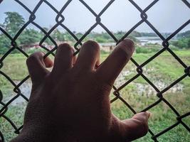 cinco dedos agarram a mão segurando a rede de cerca de ferro foto