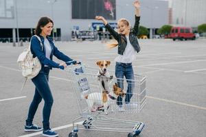 feliz jovem mãe, filha e seus dois cães no carrinho de compras voltam para casa do shopping, fazem compras durante o fim de semana, aproveitam o tempo livre, posam juntos ao ar livre. dia da família. bom conceito de emoções foto